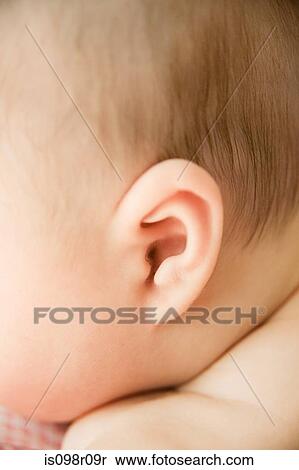 Close up of a baby boys ear View Large Photo Image Stock Photography - Close up of a baby boys ear. Fotosearch