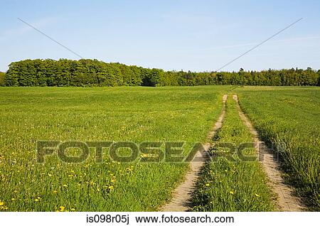 Dirt tracks in field View Large Photo Image Stock Image - Dirt tracks in field. Fotosearch