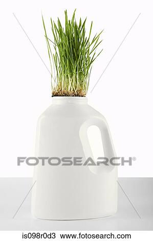 Stock Image - Grass growing out of a plastic bottle. Fotosearch