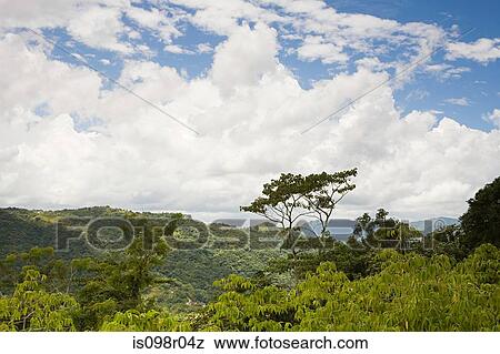Stock Photo - Lush landscape. Fotosearch