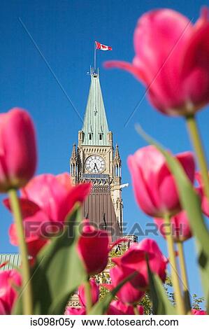 Peace tower ottawa View Large Photo Image Stock Photo - Peace tower ottawa. Fotosearch
