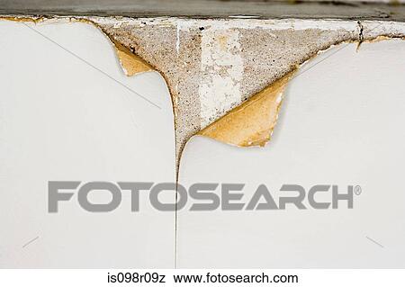 Peeling wallpaper View Large Photo Image Stock Photo - Peeling wallpaper. Fotosearch