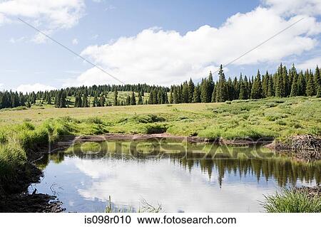 Stock Image - Pond at shrine pass colorado. Fotosearch