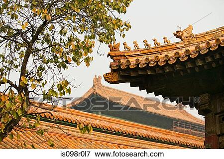 Roofs in forbidden city beijing View Large Photo Image Stock Photo - Roofs in forbidden city beijing. Fotosearch