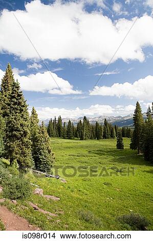 Shrine pass colorado View Large Photo Image Picture - Shrine pass colorado. Fotosearch