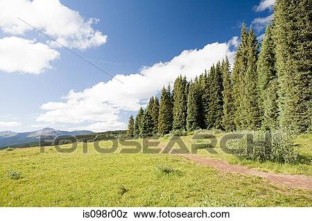 Shrine pass colorado View Large Photo Image Stock Photo - Shrine pass colorado. Fotosearch