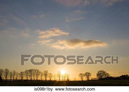 Silhouetted trees View Large Photo Image Stock Photo - Silhouetted trees. Fotosearch