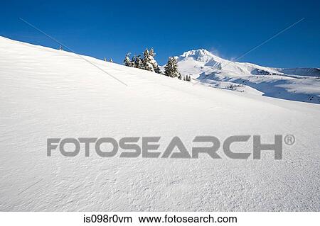 Picture - Snow on a mountain. Fotosearch