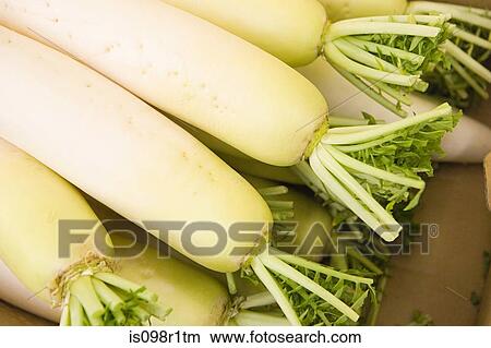 Stack of daikon View Large Photo Image Picture - Stack of daikon. Fotosearch
