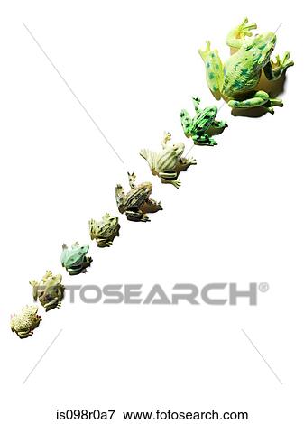 Toy frogs in a row View Large Photo Image Stock Photo - Toy frogs in a row. Fotosearch