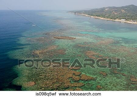 Aerial view of reef, Roatan. View Large Photo Image Stock Image - Aerial view of reef, Roatan.. Fotosearch