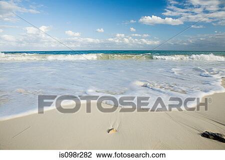 Beach and sea in yucatan View Large Photo Image Stock Image - Beach and sea in yucatan. Fotosearch