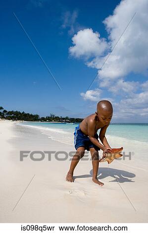 Child with starfish. View Large Photo Image Stock Photography - Child with starfish.. Fotosearch