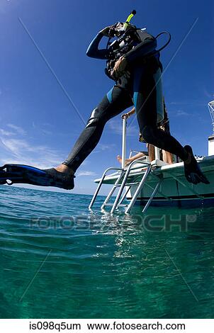 Diver entering water. View Large Photo Image Picture - Diver entering water.. Fotosearch