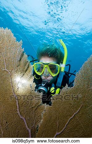 Diver framed by sea fan. View Large Photo Image Picture - Diver framed by sea fan.. Fotosearch