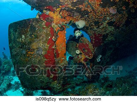 Diver on shipwreck. View Large Photo Image Stock Photo - Diver on shipwreck.. Fotosearch