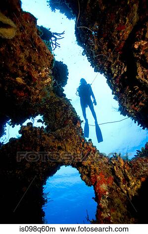 Diver silhouette. View Large Photo Image Picture - Diver silhouette.. Fotosearch