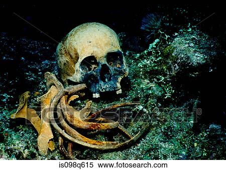 Human remains on shipwreck. View Large Photo Image Stock Photography - Human remains on shipwreck.. Fotosearch