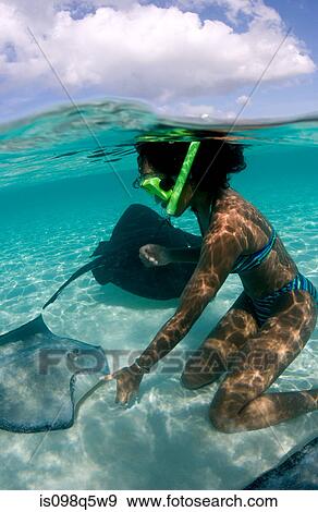 Playing with stingrays. View Large Photo Image Stock Photo - Playing with stingrays.. Fotosearch