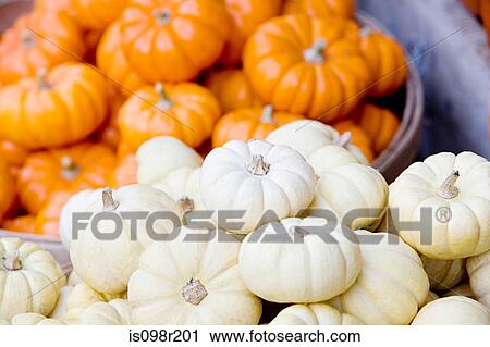 Stock Image - Pumpkins in a basket. Fotosearch