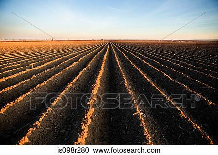 Ridges in field View Large Photo Image Stock Image - Ridges in field. Fotosearch