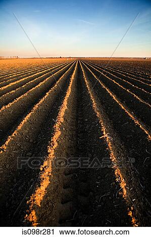 Ridges in field View Large Photo Image Stock Image - Ridges in field. Fotosearch