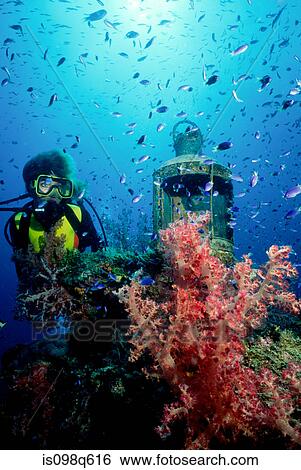 Scuba diver on shipwreck. View Large Photo Image Stock Photograph - Scuba diver on shipwreck.. Fotosearch