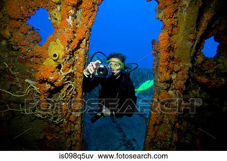 Scuba diver takes picture. View Large Photo Image Stock Photo - Scuba diver takes picture.. Fotosearch