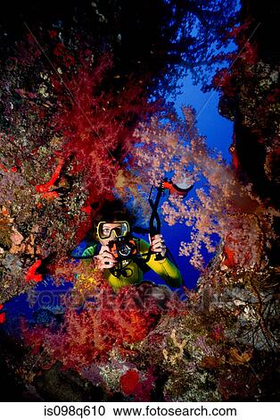 Scuba diver with camera. View Large Photo Image Stock Image - Scuba diver with camera.. Fotosearch
