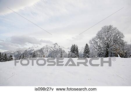 Snow in bludenz View Large Photo Image Stock Photo - Snow in bludenz. Fotosearch