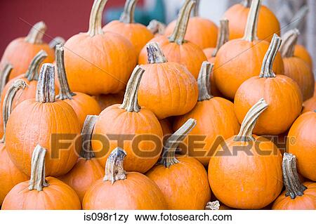 Stack of pumpkins View Large Photo Image Stock Photo - Stack of pumpkins. Fotosearch