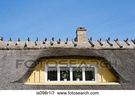 Thatched roof of a house View Large Photo Image Stock Photo - Thatched roof of a house. Fotosearch