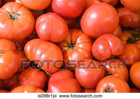 Stock Image - Tomatoes. Fotosearch