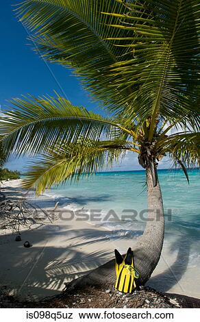 Tropical view from beach. View Large Photo Image Stock Photo - Tropical view from beach.. Fotosearch