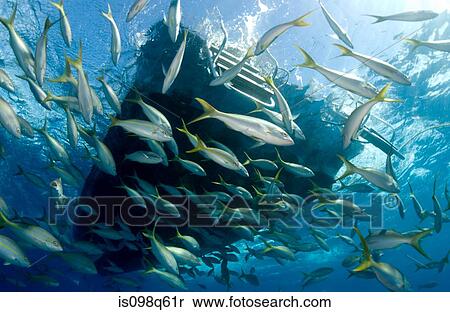 Underwater view of vessel. View Large Photo Image Stock Photography - Underwater view of vessel.. Fotosearch