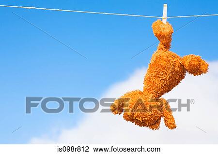 Teddy bear on a washing line View Large Photo Image Stock Image - Teddy bear on a washing line. Fotosearch