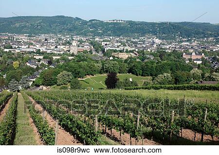 German vineyard View Large Photo Image Stock Image - German vineyard. Fotosearch