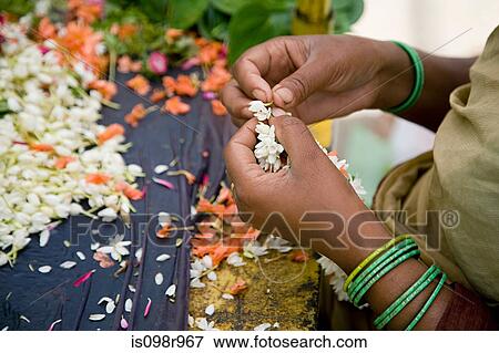 Woman making wreaths from jasmine flowers View Large Photo Image Stock Photo - Woman making wreaths from jasmine flowers. Fotosearch