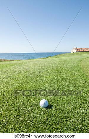 Golf ball on coastal course View Large Photo Image Stock Photography - Golf ball on coastal course. Fotosearch