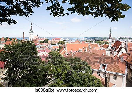 Elevated view of tallin View Large Photo Image Stock Photograph - Elevated view of tallin. Fotosearch