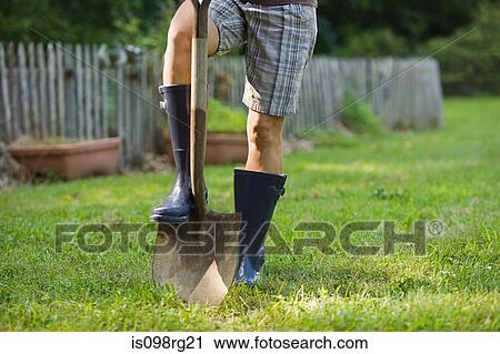 Gardener with spade View Large Photo Image Stock Image - Gardener with spade. Fotosearch