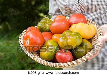 Stock Photograph - Person with bowl of tomatoes. Fotosearch