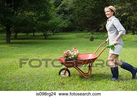 Woman with wheelbarrow of plants View Large Photo Image Picture - Woman with wheelbarrow of plants. Fotosearch