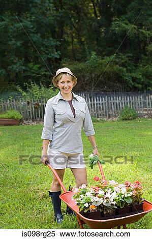 Stock Photography - Woman with wheelbarrow of plants. Fotosearch