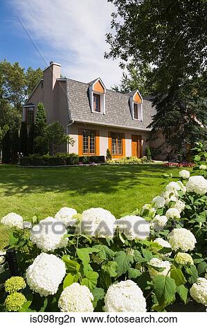 House and garden View Large Photo Image Picture - House and garden. Fotosearch
