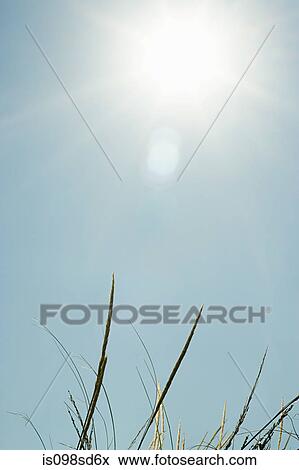 Stock Photo - Bright sunlight over sand dunes. Fotosearch