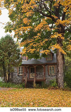 Stock Photography - House and tree in autumn. Fotosearch
