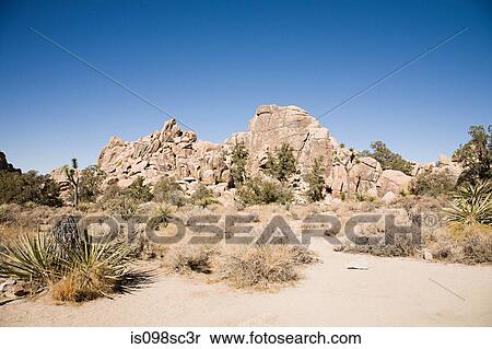 Stock Photography - Joshua tree national park. Fotosearch