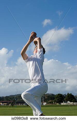 Auckland, cricket player View Large Photo Image Stock Photo - Auckland, cricket player. Fotosearch