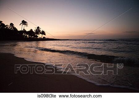 Hawaiian beach at sunset View Large Photo Image Stock Image - Hawaiian beach at sunset. Fotosearch
